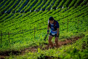 BIB: 
                            <button type="button" onclick="openModal(19161278)" class="btn btn-primary btn-sm float-right btn-popup" data-toggle="modal" data-target=".modal-high-quality">
                        <i class="fas fa-shopping-cart"></i> Add to Cart
                    </button>
                                            <button type="button" onclick="isThisMe(19161278, true)" class="btn btn-success btn-sm float-right btn-popup btn-isme hidden" data-toggle="tooltip" data-placement="bottom" title="นี่คือรูปของคุณใช่ไหม คลิกที่นี่เพื่อเอาเข้าอัลบั้ม">
                        <i class="fas fa-plus"></i> Add to album
                    </button>
                    <button type="button" onclick="isThisMe(19161278, false)" class="btn btn-warning btn-sm float-right btn-popup btn-isnotme hidden">
                        <i class="fas fa-ban"></i> Remove from album
                    </button>